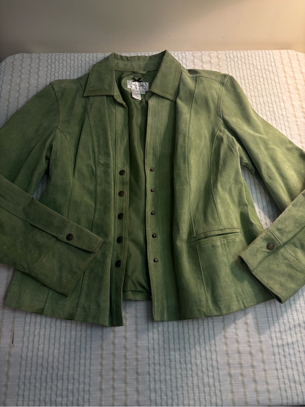 Live a Little Light Green Suede Button-Front Blazer